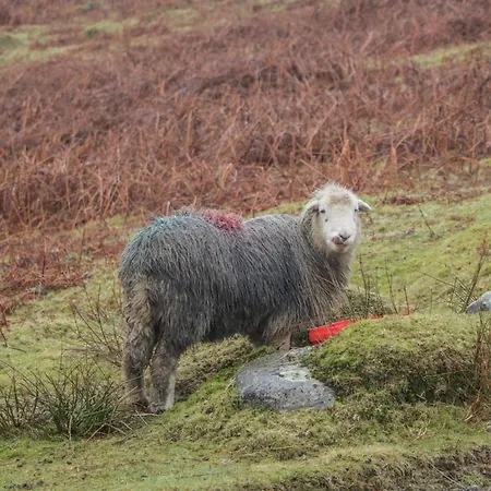 1 Sunny Point Σπίτι διακοπών Κένταλ